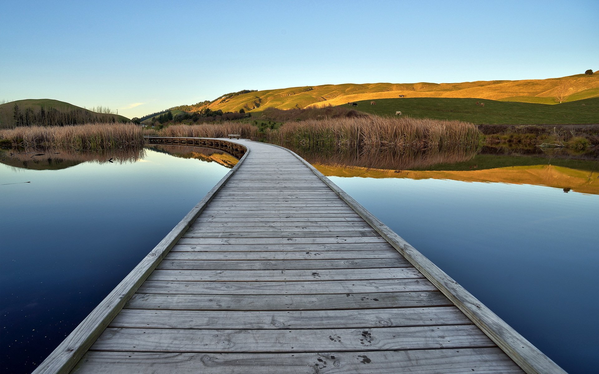 see brücke landschaft