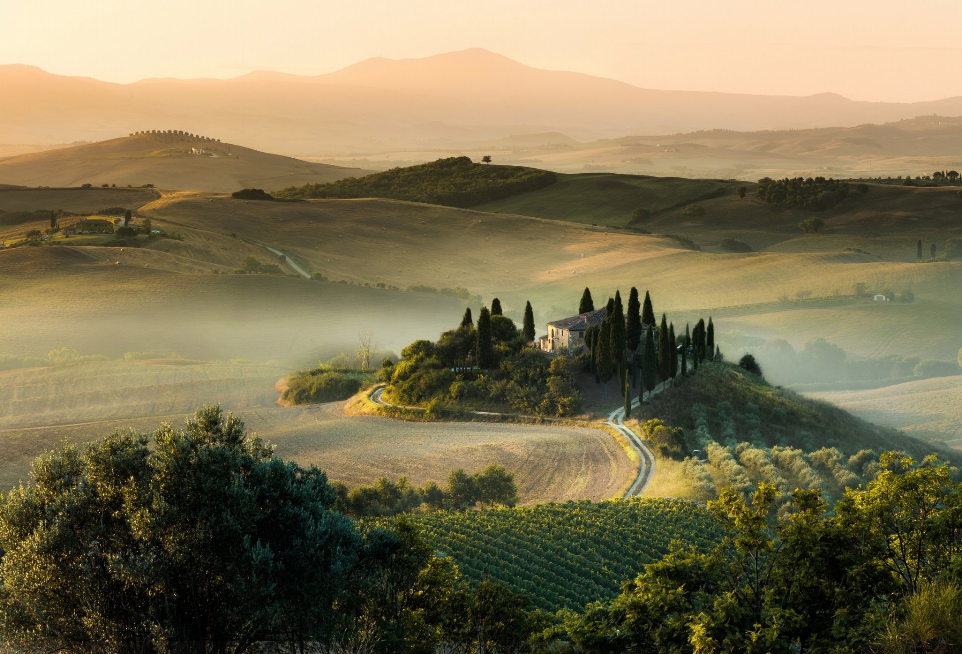 italia toscana estate agosto campi luce mattina