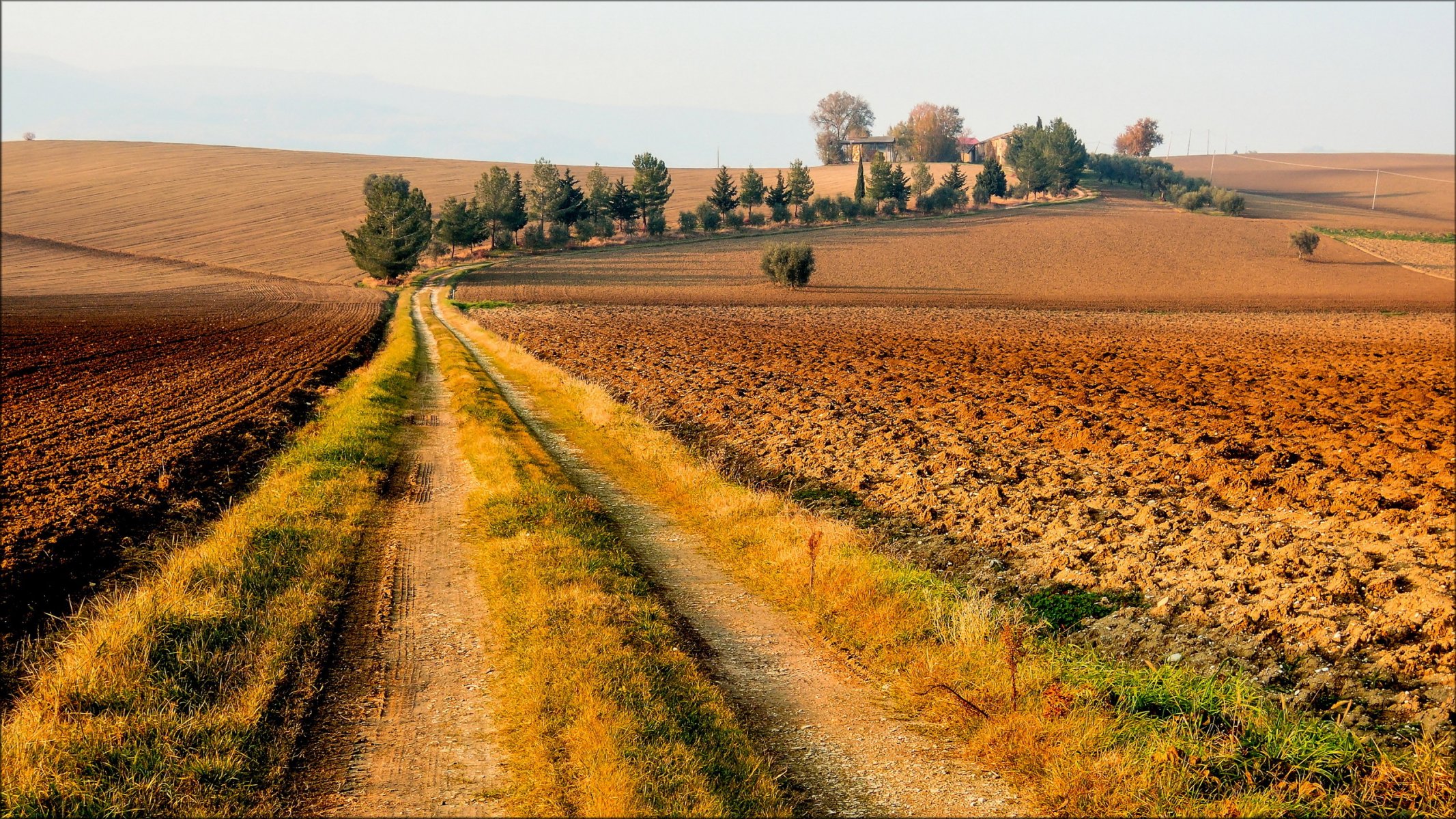 the field road landscape