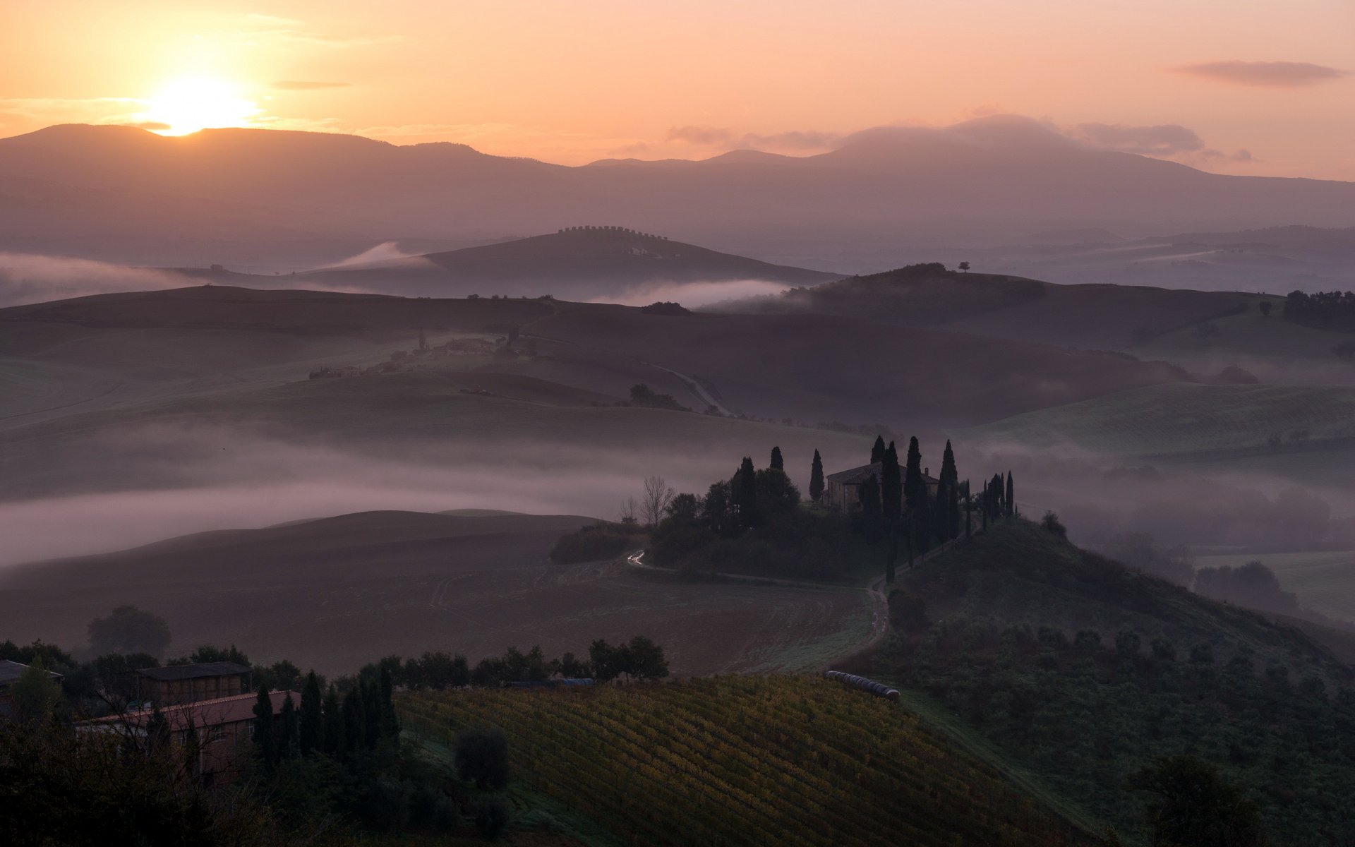 notte campo nebbia paesaggio