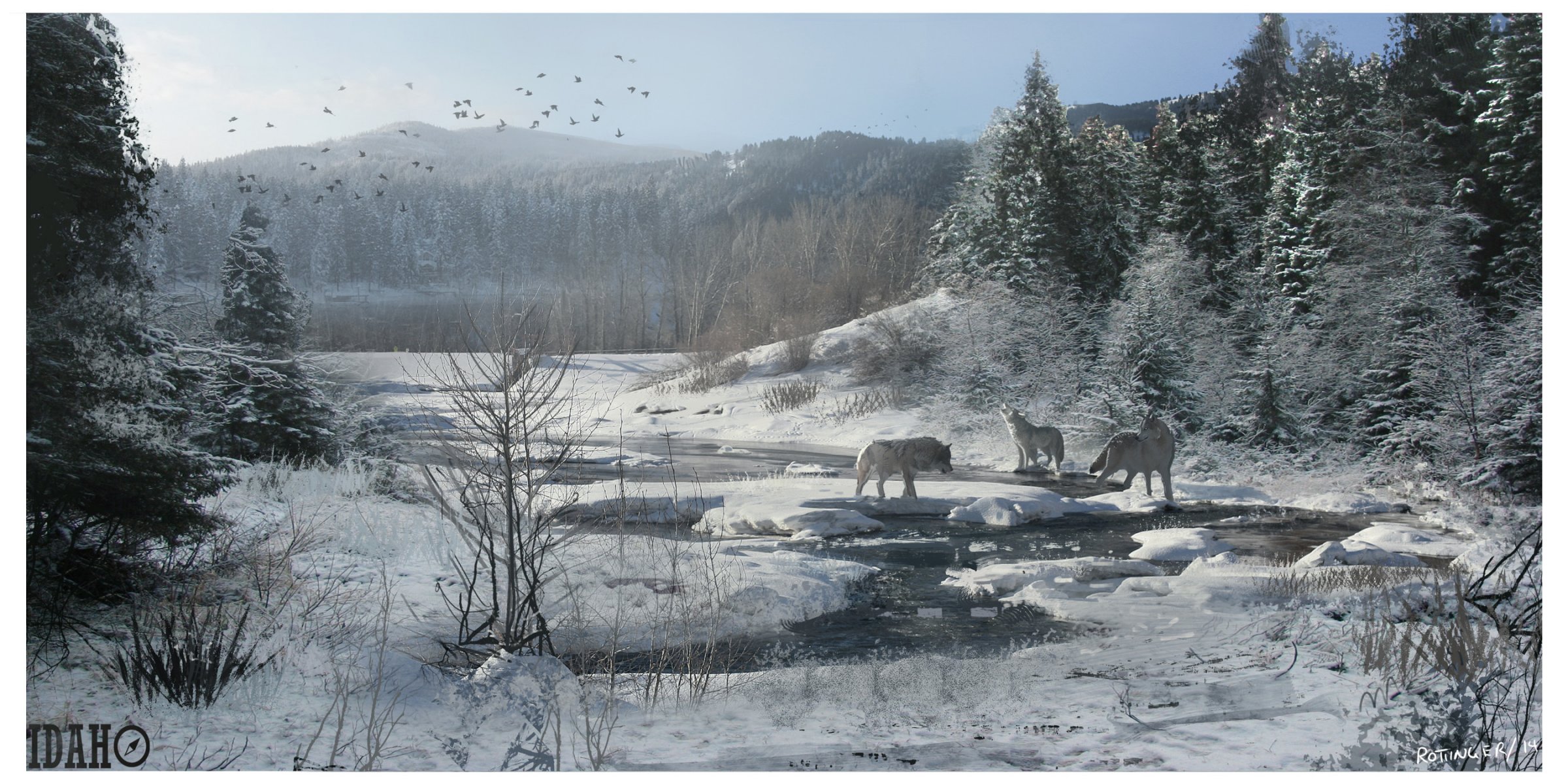 neige loups hiver ruisseau forêt