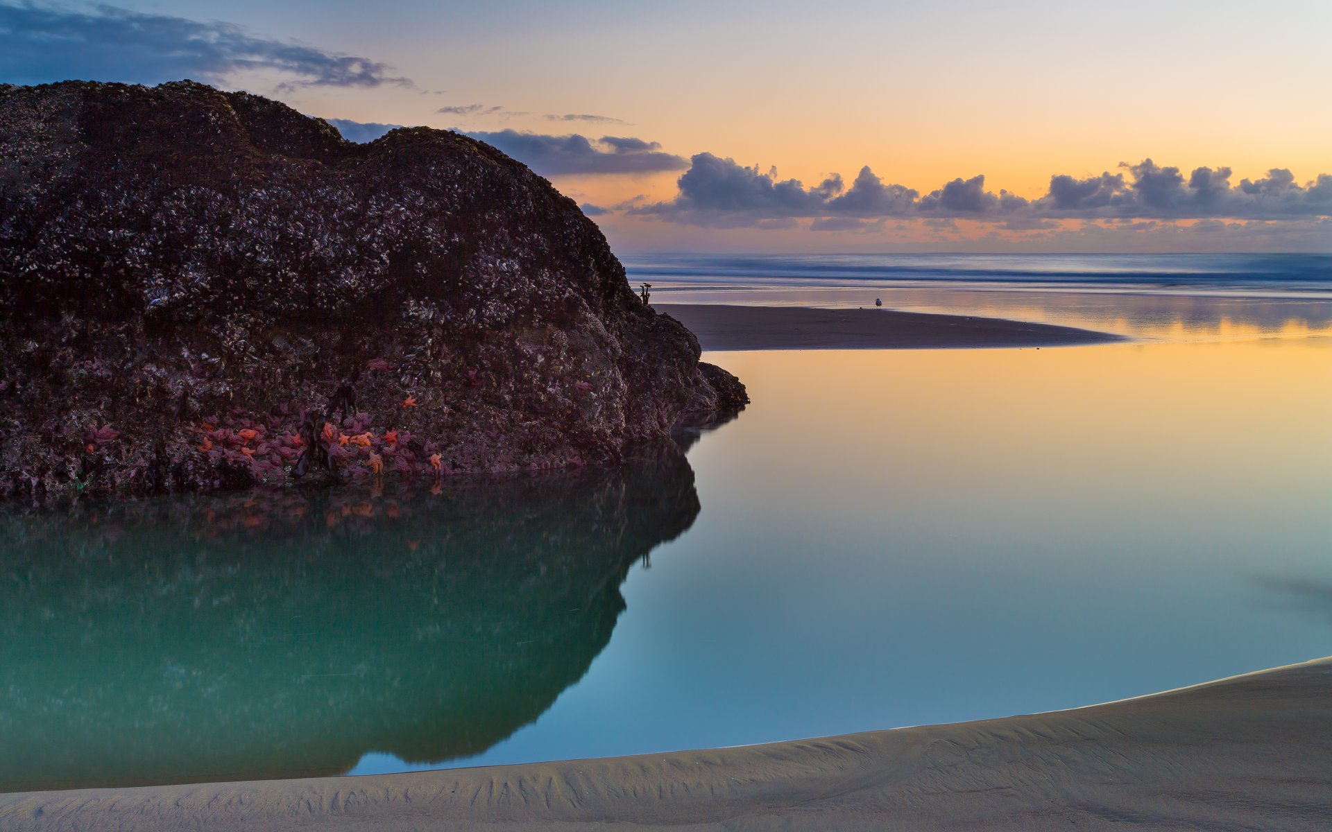 plaża bandon wybrzeże oregonu usa . zachód słońca plaża ocean zachód słońca skała