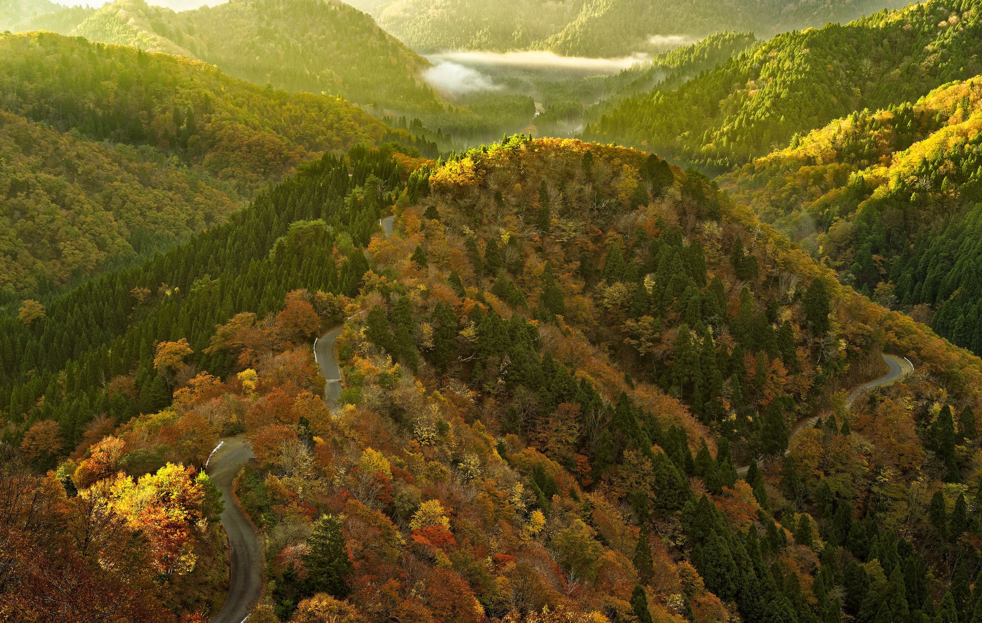 road mountain tree forest clouds sun