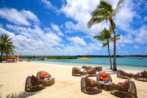 A resort on an island with palm trees and near the sea