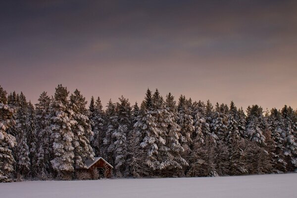 House on the edge of the forest on a winter day