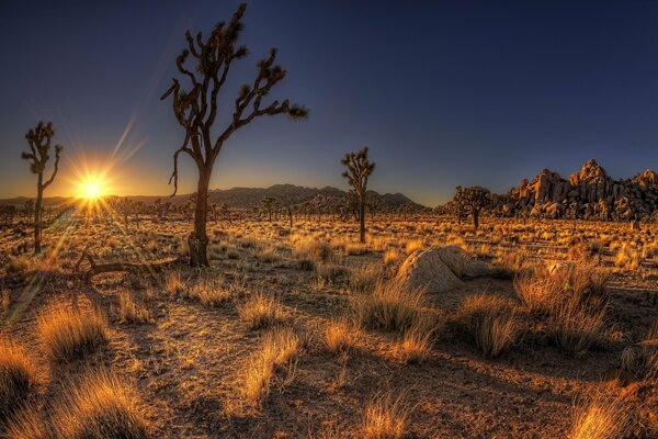 Feldlandschaft bei Sonnenuntergang