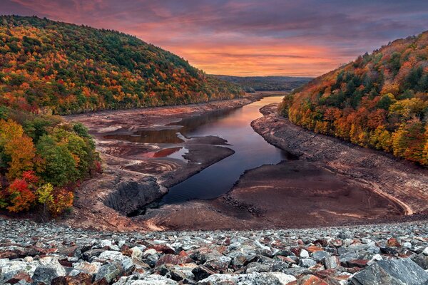 Natura autunnale. ramo del fiume