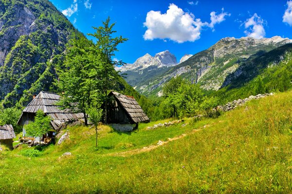 A house in the mountains in Slovenia in the trees