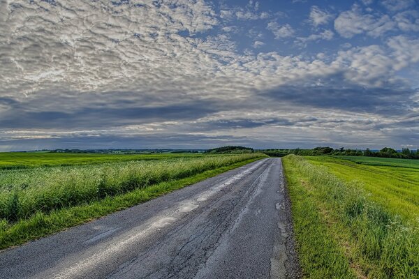 Camino en el campo bajo las nubes