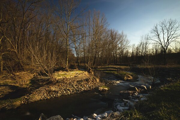 Frühling Natur auf Himmelshintergrund