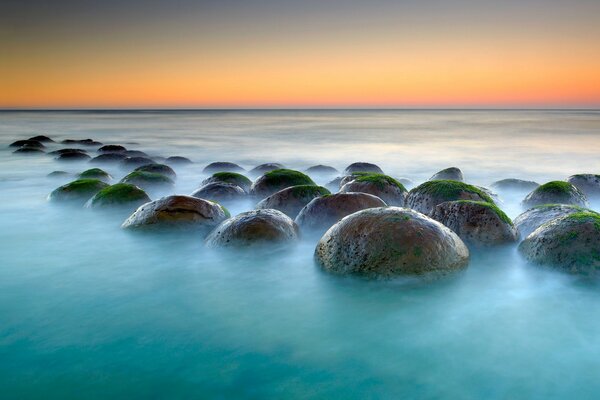 Pierres en forme de boule avec des algues dans la mer