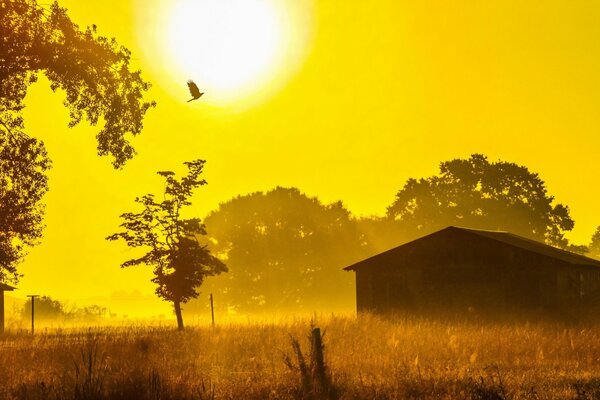 Fondos de pantalla con una hermosa puesta de sol y una casa solitaria