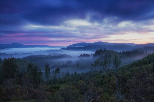 Escocia puesta de sol y niebla en el bosque