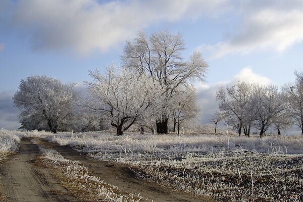 The road to the field, covered with frost