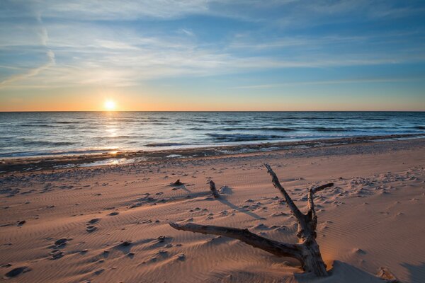 Sea sunset on the sandy shore