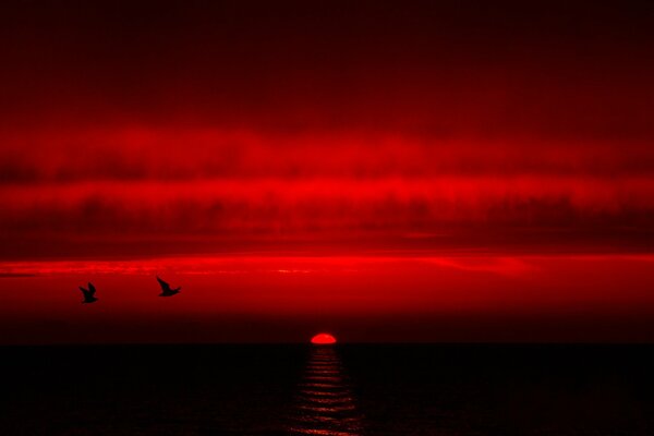 Bright red landscape and birds