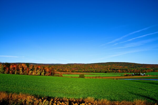 Blauer Himmel über dem schönen Feld