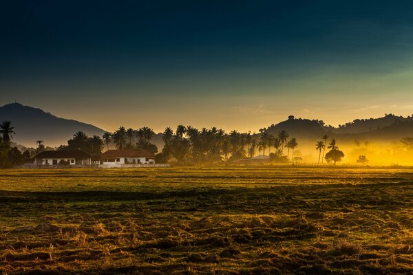 Landscape of the field in the morning fog