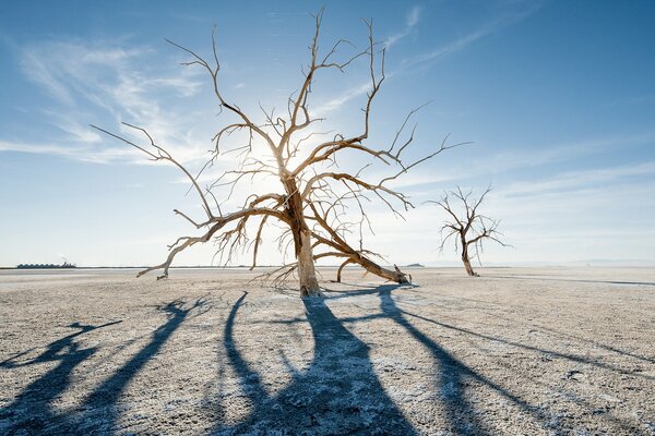 A mysterious landscape with a play of light and shadow