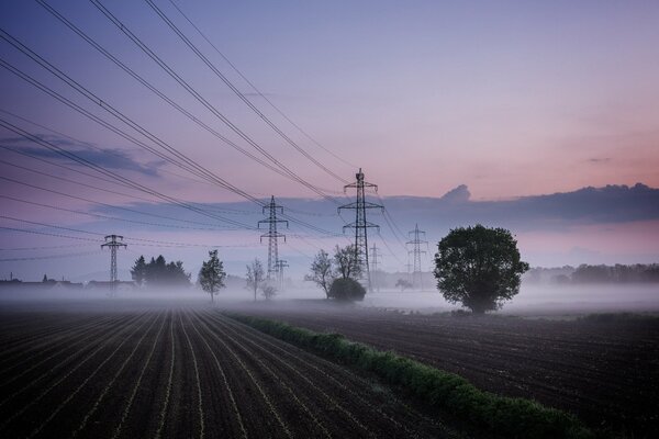 Krajobraz mglistego pola z filarami linii energetycznych