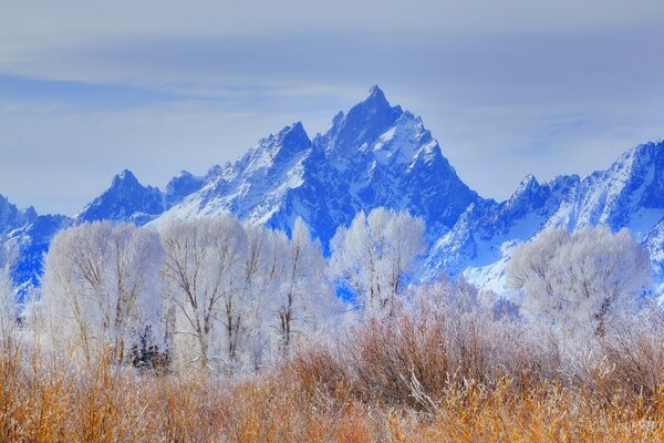 Parc National d hiver du Wyoming aux États-Unis avec montagnes