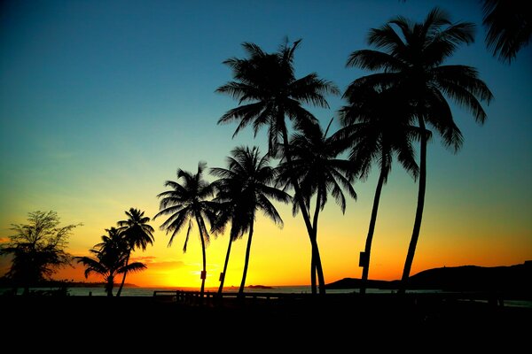 Sunset on the sea, beautiful colors