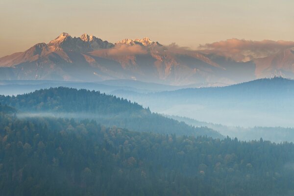 Montañas en la niebla y el bosque alrededor