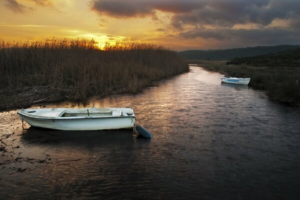 Boote im Schilf am Abend Fluss Sonnenuntergang