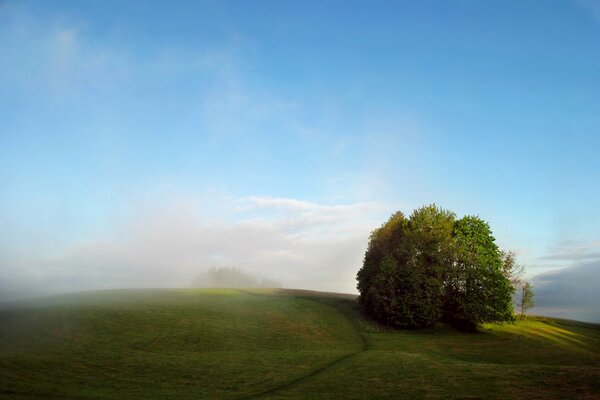 Día de verano, campo de niebla