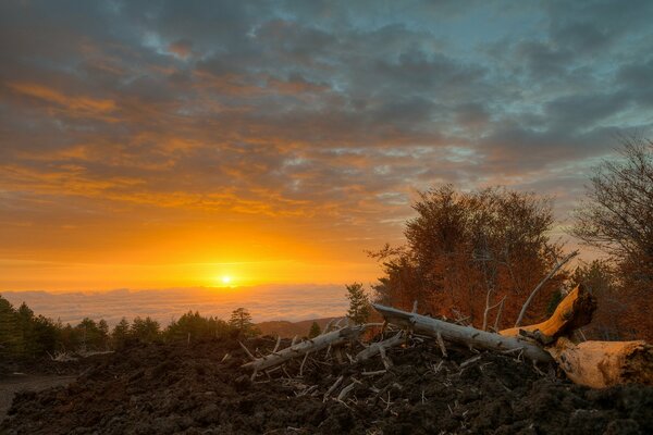 Beautiful morning sunrise linguagloss