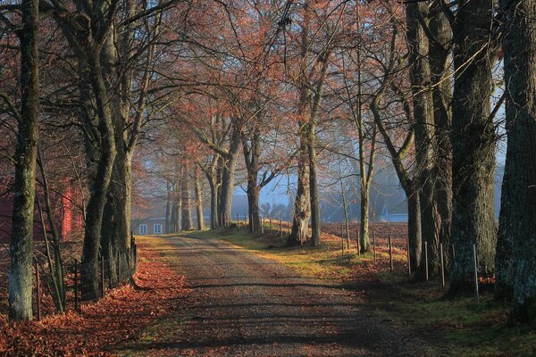 Deep autumn is beautiful in its own way