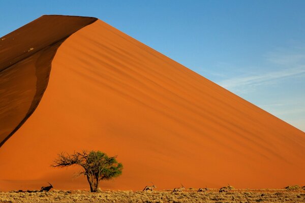 Magische Farbkorrektur der Natur Berg Himmel Sand