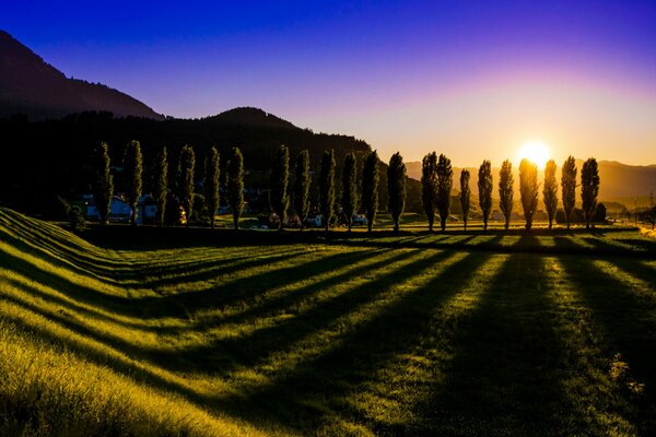 Paisaje fantástico, el sol se abre paso a través de los árboles y proyecta una hermosa sombra