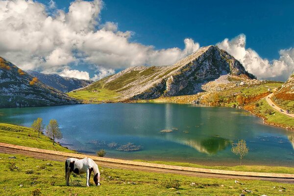 Der See liegt in den Bergen. grasendes Pferd