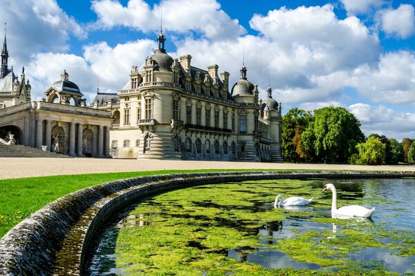 Castle, palace with its own swans