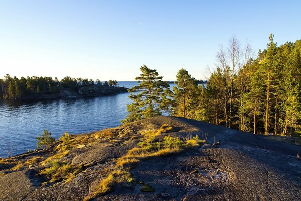 Landschaft mit schöner Natur