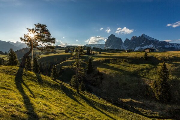 Paysage de montagne matin des montagnes