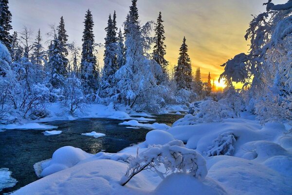 Winter sunset on a forest lake