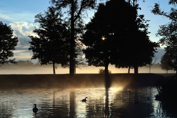 Misty dawn on the lake. morning