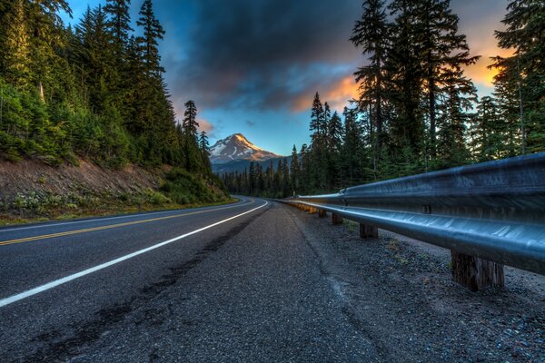 La strada per le montagne attraverso gli alberi e la foresta