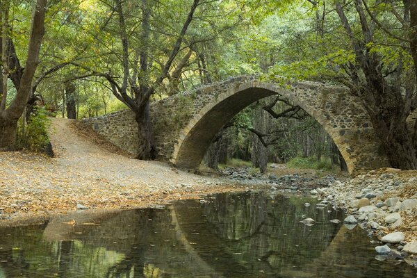 Brücke im Wald über dem Fluss, die Reflexion kann hier gesehen werden