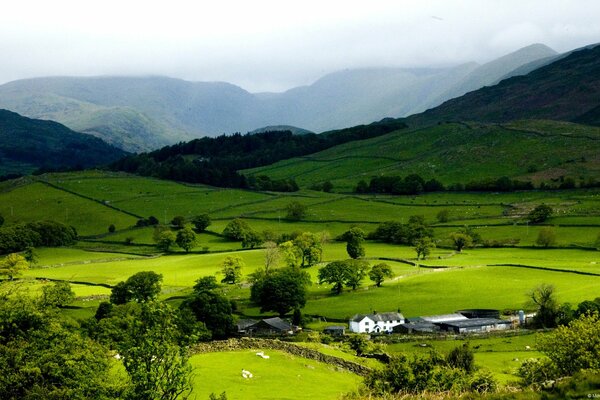 Green fields at the foot of the mountains against the sky