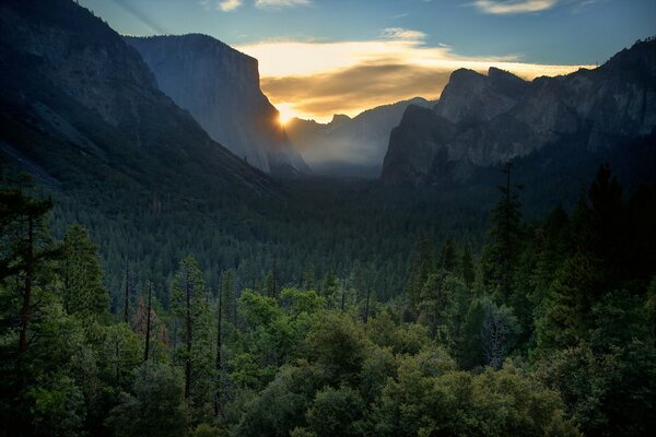 Alba tra le montagne e la foresta