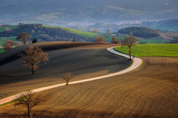 Landschaft mit einer Straße, die sich zwischen den Feldern schlängelt