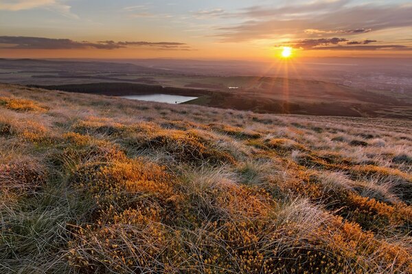 Sunset rays of the sun over the meadow