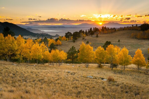 Herbstlandschaft mit Sonne und Bäumen