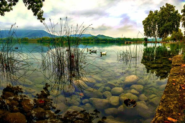 Ein See mit klarem Wasser und Bäumen