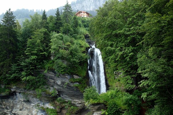 Bella Svizzera cabina in montagna