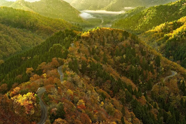 Routes dans les montagnes en automne