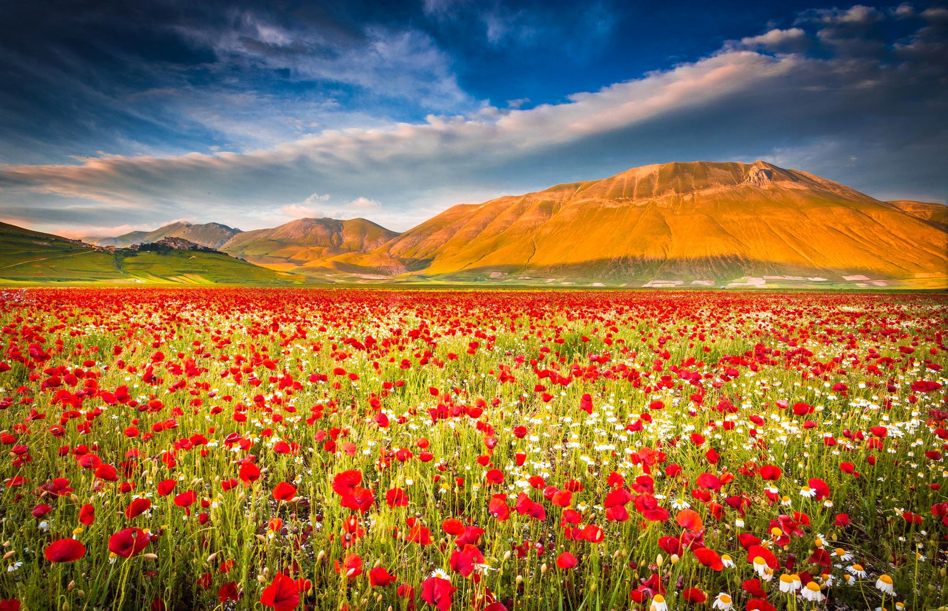 castelluccio di norcia ombrie italie ciel montagnes champ prairie coquelicots